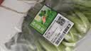 七鲜24小时油菜苗250g(长度≤17cm) 实拍图