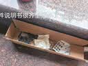科迈克电动充电式割草机家用手持打草机锂电草坪机割灌机农用除草续航强 旗舰6寸款(10节电芯2电池1充) 实拍图