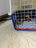 【京东物流】猫抓板磨爪猫窝一体耐磨不掉屑超大号猫玩具猫咪用品 圆形大号+猫薄荷 实拍图