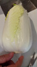 小汤山 三宝白菜 600g 基地直供新鲜蔬菜GAP认证 实拍图