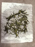 文新绿茶2026新茶一芽一叶信阳毛尖特级100g明前罐装 实拍图