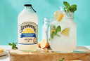 宾得宝（Bundaberg）含气柠檬汁饮料375ml*6玻璃瓶装 澳州网红夏日旅行解腻果汁气泡水 实拍图