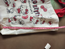 爆款韩系卡通蝴蝶结手提包日系极简帆布包单肩上课通勤便当包 【带飘带】KT红色27*24cm 实拍图