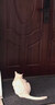 N1 爱宠爱猫n1玉米纯豆腐猫砂6.5kg大包装植物砂升级2.0mm颗粒易结团可冲厕所 实拍图