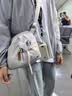 NAYO SMART2025新款男士斜挎单肩包外出便携通勤风邮差包女户外UL1 实拍图