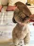 Meatyway爵宴宠物狗狗零食冻干肉干猫犬通用宠物训练奖励 冻干原切猪心30g 实拍图