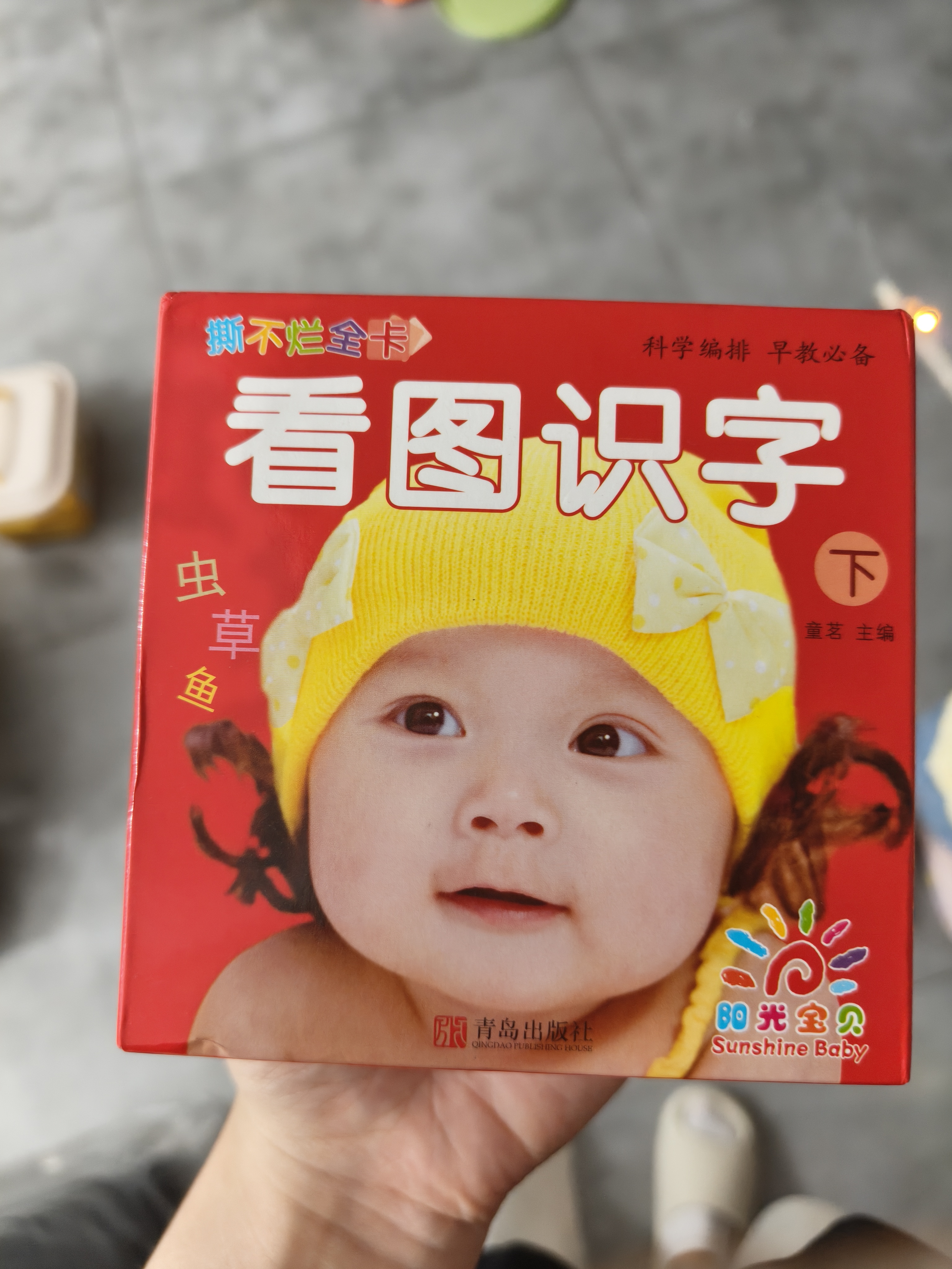 阳光宝贝 0-6岁早教撕不烂全卡 看图识字（下）  实拍图