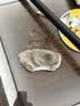 KARCHER德国卡赫 蒸汽拖把家用高温蒸汽清洁机厨房油烟机全屋清洁洗地机温度显示杀菌除螨SC5D 实拍图