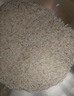 十月稻田 绿色食品 五常大米 10斤(香米 东北大米 5kg/公斤) 实拍图