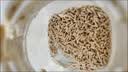 松鲜鲜 松茸调味料1kg【减钠29% 0添加】可代替盐鸡精味精煲汤炒菜调味 实拍图