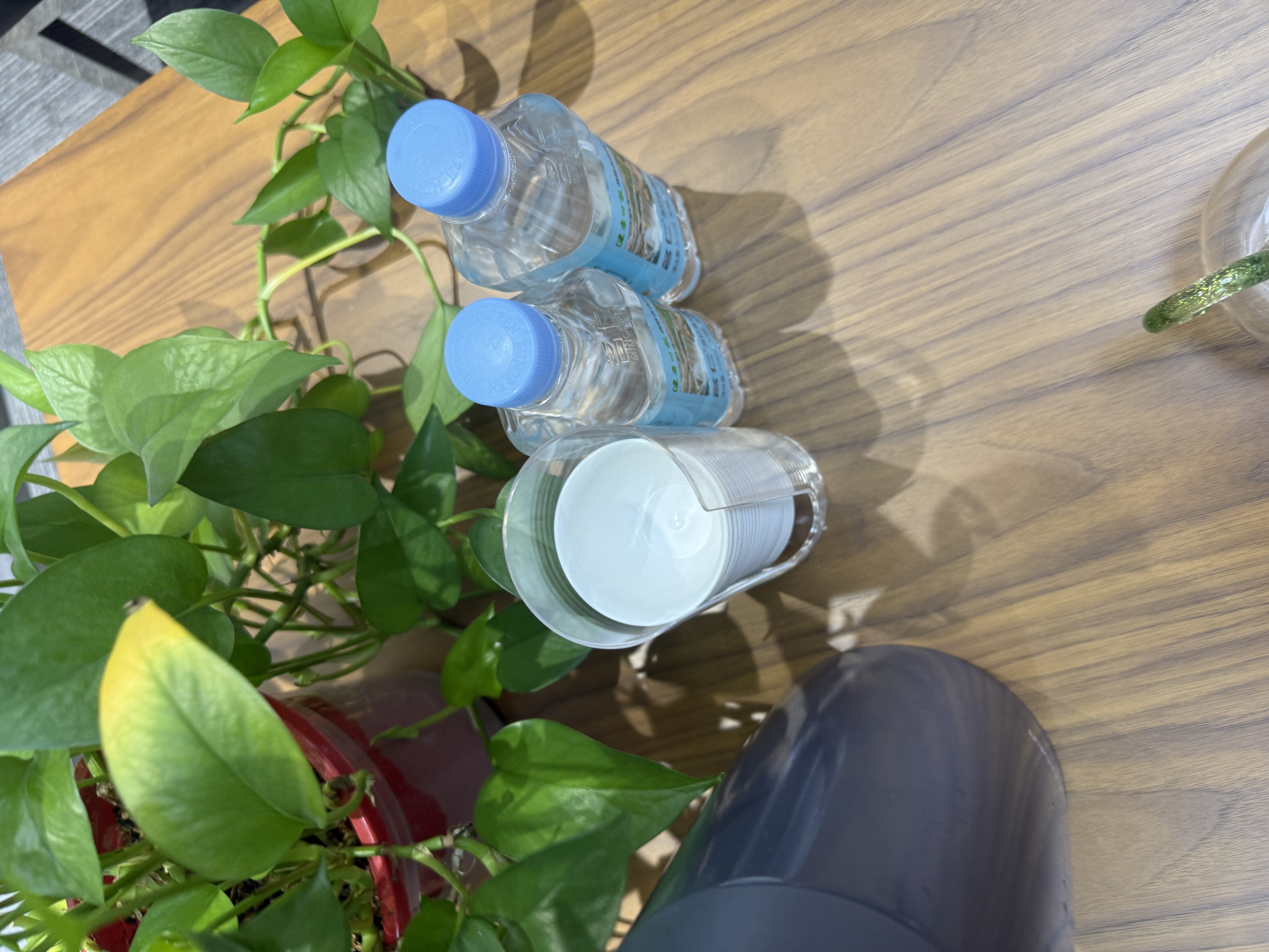 八千行一次性功夫茶杯茶具60ml稻壳茶杯高档加厚耐热品茗茶杯 96只+杯架 实拍图