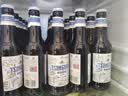 青岛啤酒（TsingTao）精酿白啤 全麦酿造 330ml*12瓶 整箱装 实拍图