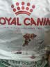 皇家狗粮 老年犬狗粮犬粮宠物小型犬SPR27全价犬粮≥8岁7KG 实拍图