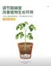 史丹利硫酸亚铁花肥料花用养花颗粒通用茉莉杜鹃栀子花专用肥铁肥500g 实拍图