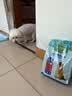 麦富迪狗粮 藻趣儿狗粮成犬粮牛肉螺旋藻 均衡营养2.5kg 实拍图