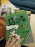 马小跳玩数学 新版（一至六年级 套装全6册）暑假学习 轻松数学 杨红樱 小学数学 马小跳  实拍图