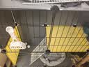 蔻丝猫笼子大号猫窝别墅带厕所一体隔离适合幼猫大猫柜家用宠物猫笼 【3层1卫3室】攀爬多层空间 升级款【基础款+猫窝+猫吊床】 实拍图