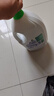 滴露（Dettol）衣物消毒液除菌松木3L 衣服消毒水99.9%杀菌除螨内衣裤配洗衣液 实拍图