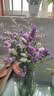 3.18节勿忘我鲜切花真花客厅餐桌插花摆件送人礼物 勿忘我1束（2-5个颜色）约200g新手福利 实拍图