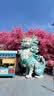 索尼(SONY) α A6400 A6300 A6600 a6000视频直播4K二手微单相机 A6400(16-50mm) 套机（颜色随机） 99新 实拍图