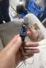 丢石头 FT232 USB转TTL串口模块 usb转uart串口通信 单片机刷机板 接口转换 TypeA接口 实拍图