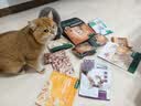 网易严选全价猫粮4.0 宠物主粮成幼猫咪食品三文鱼亮毛深海鱼虾味500g试吃 实拍图