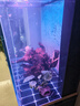森森（SUNSUN）大型鱼缸底过滤水族箱客厅家用落地玻璃生态金鱼缸 超白款升级底滤 1米长42cm宽（黑白灰可选） 实拍图