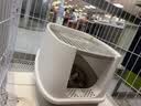 乐优派猫砂盆全封闭防外溅猫厕所猫屎盆猫沙盆猫便盆 灰白小号 实拍图