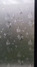晴画玻璃贴膜防窥贴膜磨砂透光芙蓉花卫生间窗户隐私玻璃贴纸90*200cm 实拍图