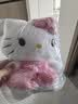 名创优品（MINISO）三丽鸥Hello Kitty凯蒂猫玫瑰之约公仔玩偶玩具抱枕生日七夕礼物 实拍图