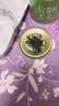 七春2026绿茶信阳毛尖新茶河南特产小罐装冷泡茶品鉴茶叶30g 实拍图
