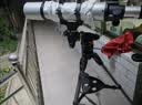 星特朗80EQ专业观星观景高清高倍大口径天文望远镜学生科普生日礼物 实拍图