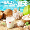 南国纯椰子粉16gX20包/袋海南特产手信生椰拿铁咖啡伴侣早餐椰 实拍图