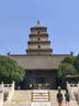 蕉下（beneunder）鸭舌帽棒球帽女士帽子大帽檐全脸黑胶遮阳帽男士帽子防晒帽BM715 实拍图