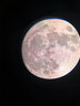 星特朗CG3Pro80900新款(80DX升级版)高清高倍观星观景专业天文望远镜 实拍图