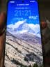 荣耀500pro 【肖战同款】 新品5G手机 超级Pro版 2亿人像全能实况 【国家补贴】 月光银 16GB+1TB【2年碎屏险】 官方标配 实拍图