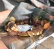 每日坚果混合坚果组合装孕妇儿童营养零食小包装特产零食 2袋 实拍图
