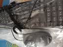 华硕（ASUS）【14代酷睿i7】台式电脑主机独显商用办公电脑商务家用游戏设计渲染企业补贴组装电脑整机全套 四：酷睿i7丨16G丨1TB丨全能旗舰独显 华硕单主机【五年质保+国行带票+送键鼠】 实拍图