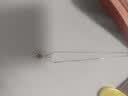 正品pt950铂金项链女款素链白金百搭可调节锁骨链不褪色送女友礼 弹簧扣蛇骨链+证书+专柜礼盒 项链长度:45cm 实拍图