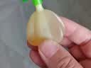 周十五益生菌蜂蜜露孕产妇儿童老人适用开塞蜜露孕期外用温和护理*10支 实拍图