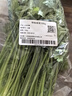带根香菜100g 实拍图