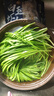 七鲜24小时绿色韭菜 250g 实拍图