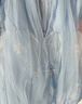 迪士尼艾莎公主裙子女童连衣裙2026夏季新款儿童网纱爱莎演出礼服送礼物 实拍图