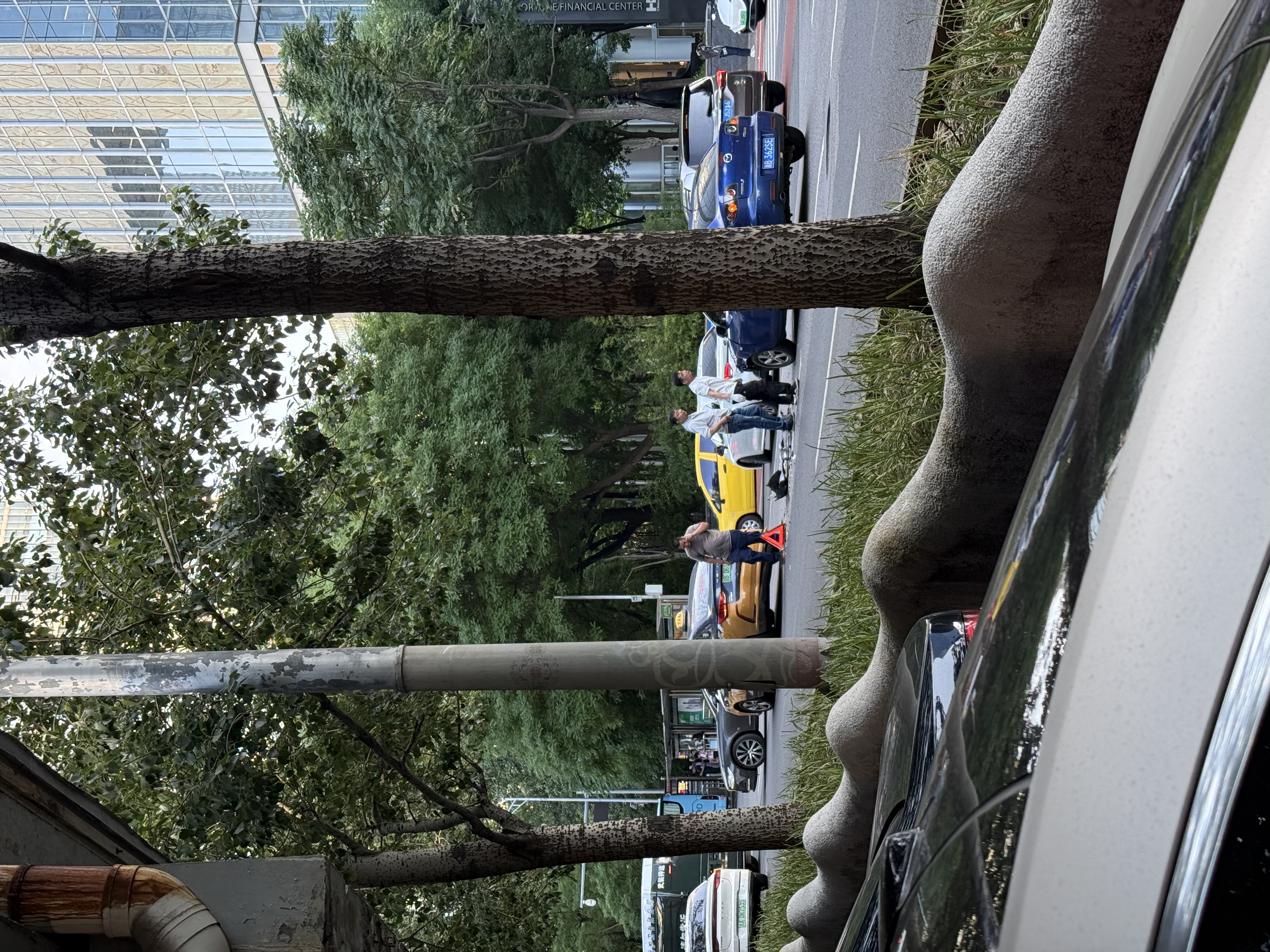 欧莱雅复颜水乳霜礼盒套装燕窝酸补水抗皱紧致七夕礼物护肤品 实拍图