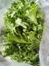 【顺丰】羽衣甘蓝 新鲜沙拉菜 都市健康轻食蔬菜 羽衣甘蓝1000g 实拍图