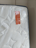 喜临门梦蝶pro 乳胶椰棕床垫抗菌防螨独袋弹簧床垫 1.5x2米 软硬适中 实拍图
