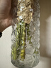 金隆兴轻奢玻璃透明花瓶大口径摆件客厅插花艺术水培水养玫瑰郁金香 实拍图