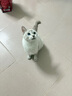 弗列加特全价鲜肉天然粮 磷虾油美毛配方 成猫粮鸡肉味16kg 实拍图