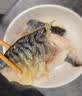 朵芙原切青花鱼 1kg深海鱼类特大青花鱼新鲜鲭鱼鲐鲅鱼生鲜海鲜水产 【单片独立包装】超大6片净1000g 实拍图