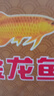 金龙鱼六星超精小麦粉50斤 馒头粉 饺子粉 麦芯粉  实拍图